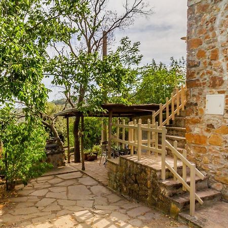 Villa Quercia Grossa à Roccastrada Extérieur photo