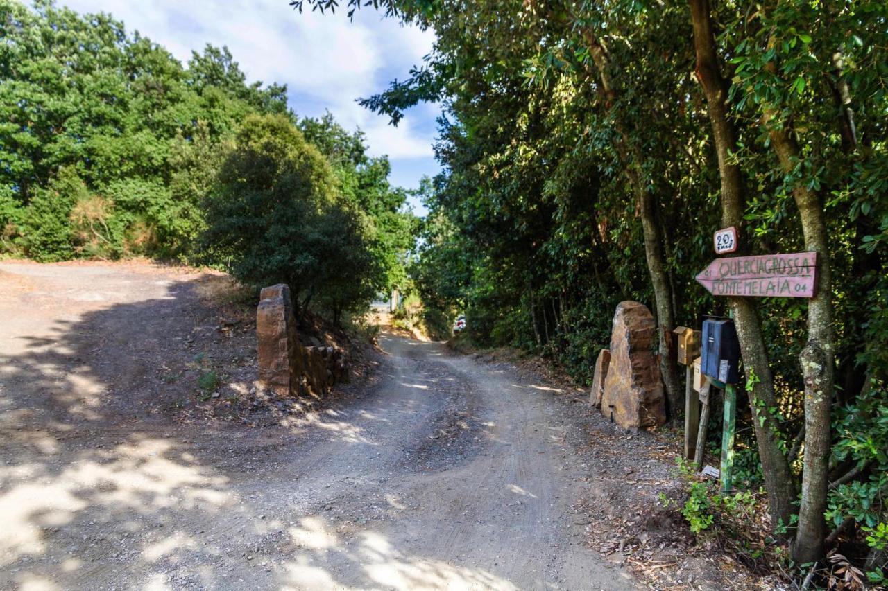 Villa Quercia Grossa à Roccastrada Extérieur photo